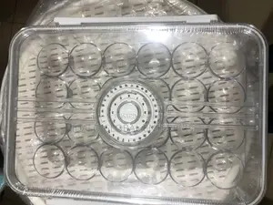 Acrylic Egg Storage Container