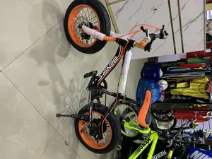 Children Fat Tyre Bicycle