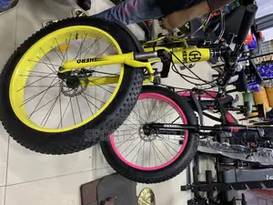 Fat Tyre Bicycle