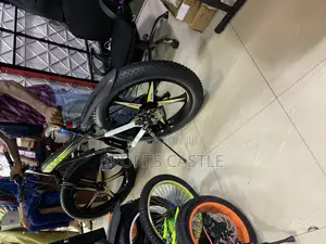 Aluminum Alloyed Rim Fat Tyre Bicycle