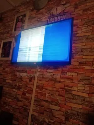 Repair Any Kind of TV Screen