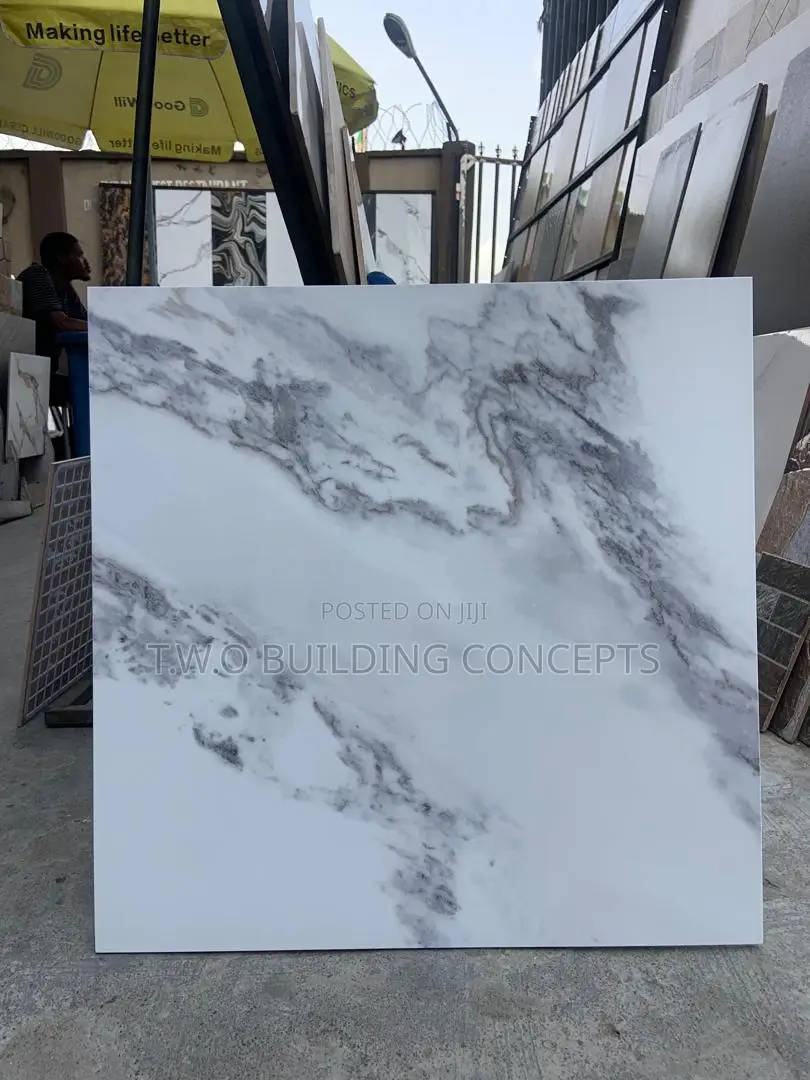 60/60 Floor Tile