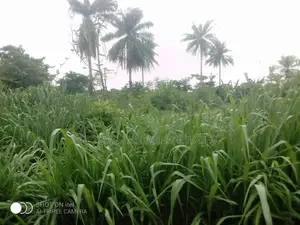 5000 Acres For Sale At Cheaper Price Comes With C Of O