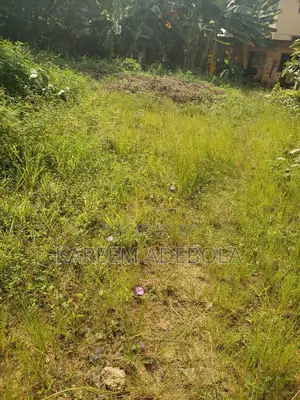 Available Land at Creek Heaven Estate