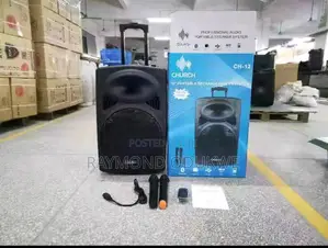Rechargeable Bluetooth PA System With Wireless Microphones.