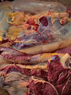 Cow Meats / Beef