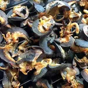 Oven Dried Snails - Large(50pieces)