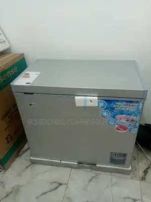 Buy Chest Freezer From LG 320df
