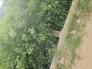 Photo - Commercial Land Facing Bourdillon Road Old Ikoyi