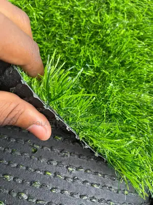 Carpet Grass 10mm Thickness Per Square Meter
