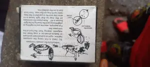 Directional Compass
