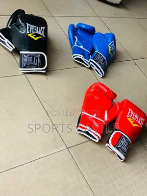 Everlast Boxing Glove