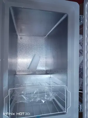 Skyrun Anti- Rust Cabinet Deep Freezer 100 Percent Energy Sa