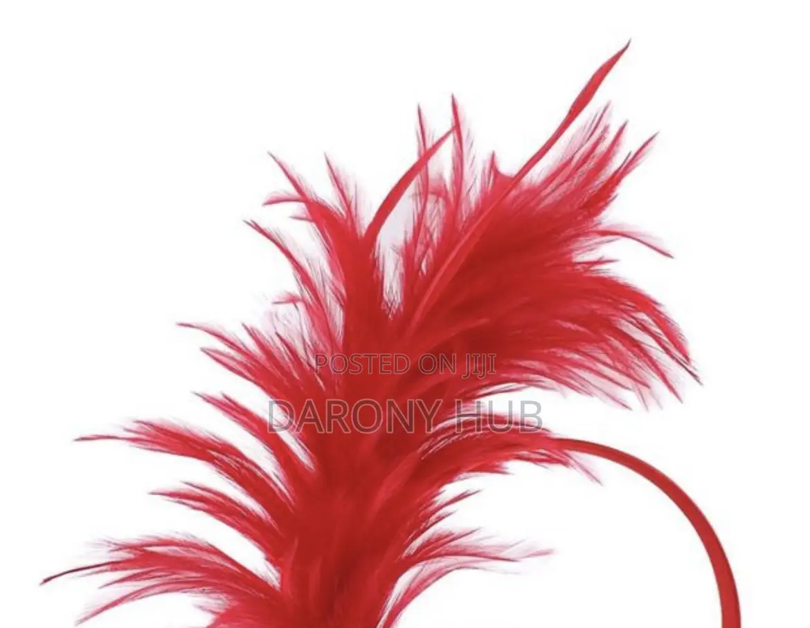 Feathers Headband