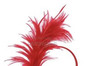 Feathers Headband
