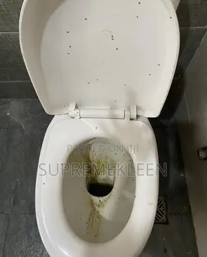 Toilet Detailed Cleaning Service Send A Dm For Booking