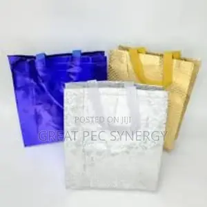 Souvenir and Gift Bags - 12 Pieces (A Dozen)