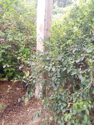 12.8 Hectares Of Land For Sale At Badna Nasarawa St.Nigeria