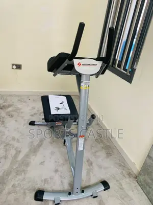 Ab Coaster Abs Machine
