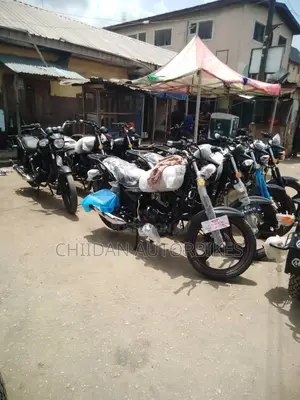 New Qlink X-ranger 200 2024