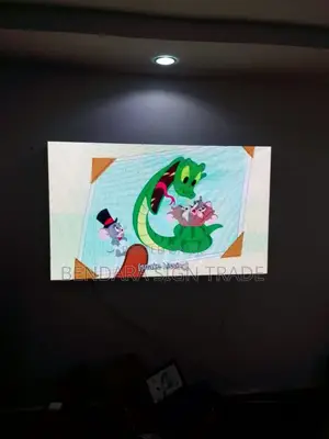 Video Display Wall Screen 5ft by 3ft Indoor