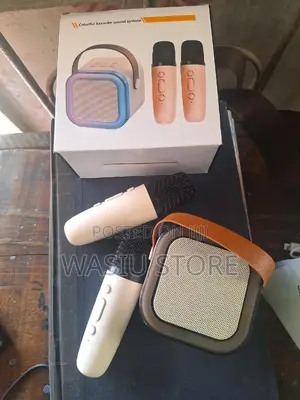 3 in 1 Wireless Karaoke Bluetooth Speaker