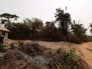 Massive Plots of Land at Olounde, Ologuneru Near Ido Road