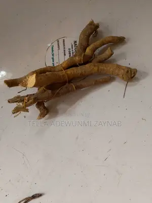 Herbal Root & Seed In Different Types