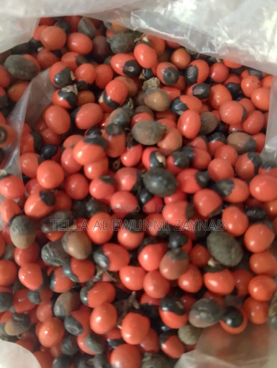 Herbal Root & Seed In Different Types