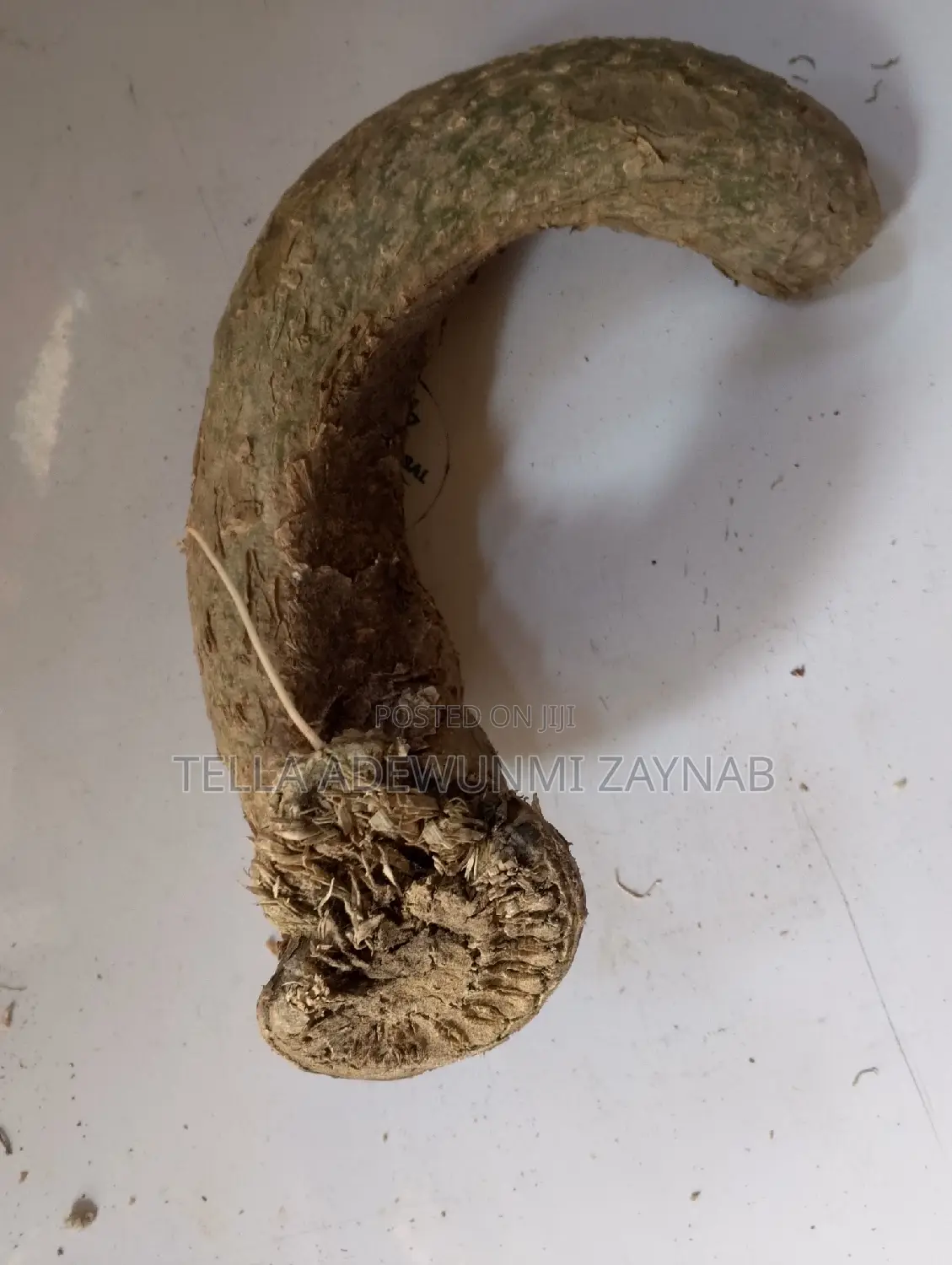 Herbal Root & Seed In Different Types