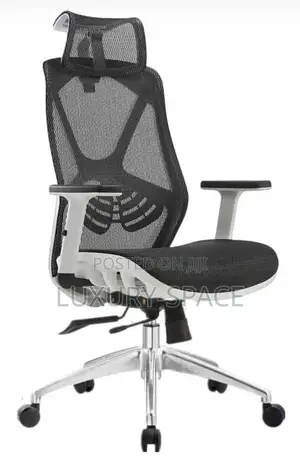 Executive Office Mesh Chair With Headrest