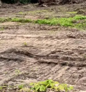 A Dry Mixed Use Land Selling Hot at Banana Island