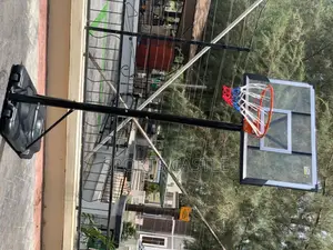 Standard Basketball Stand