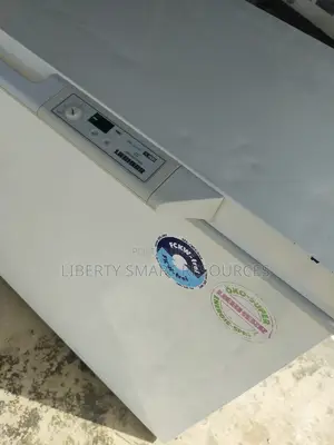 Liebherr Deep Freezer (For Ice Block Frozen Foods)