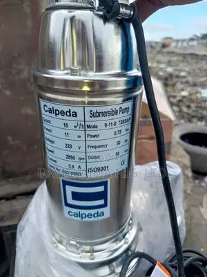 Calpeda Drainage Pump