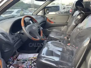 Lexus RX 2001 Silver
