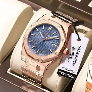 Poedagar Steel Watch