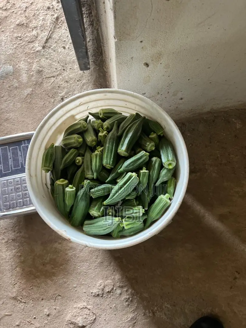 Okro Freshly Harvested Everyday, Just a Call Away