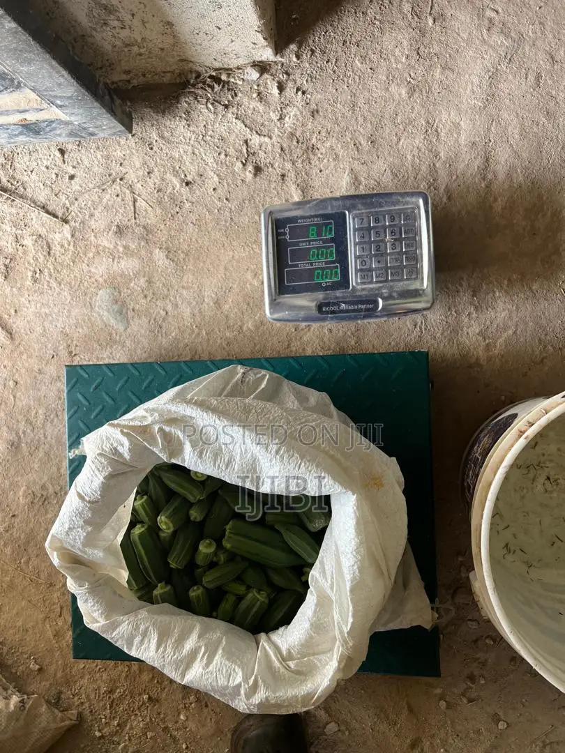Okro Freshly Harvested Everyday, Just a Call Away