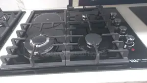1 Electric and 3 Gas Burner