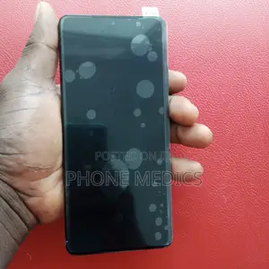 Samsung Galaxy S21 Ultra Oled Screen With Frame/Fingerprint