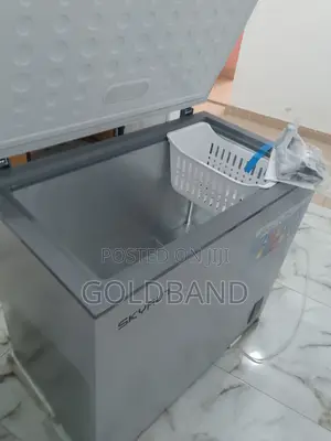 New Efficient Skyrun Bd-200a 200L Chest Freezer