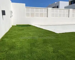 Swimming Pool Artificial Grass