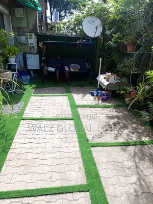 Carpet Grass