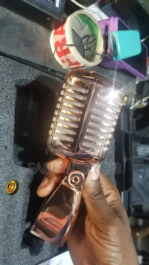 Original Professional Vintage Studio Wired Mic