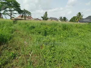 1 Acre of Land Along the Major Road
