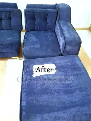 Before and After Best Sofa Cleaning