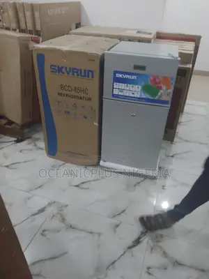 Brand New Skyrun Double Door Refrigerator