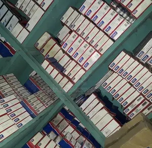 SKF Bearing Available All Numbers