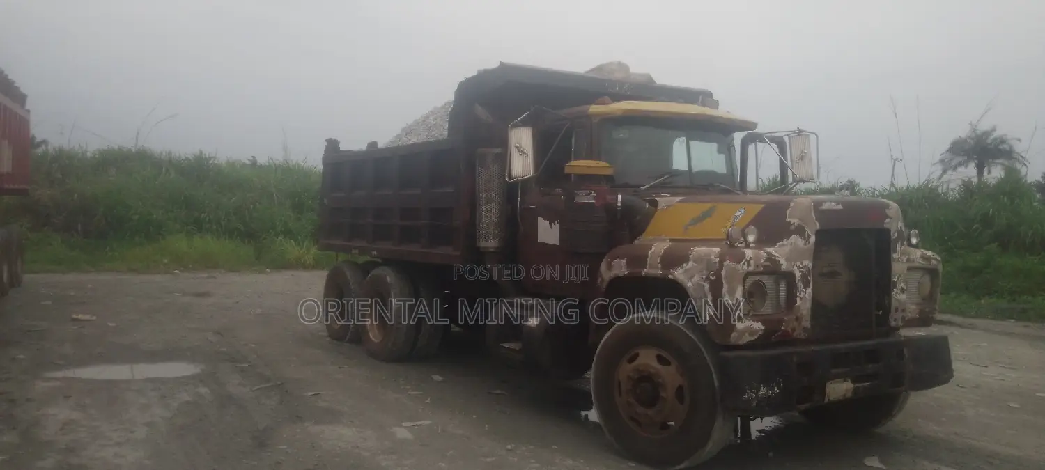 Oriental Mining Company Chippings